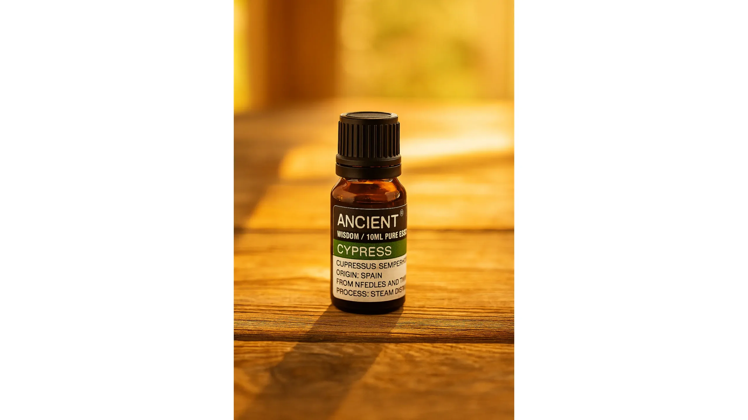 🌲Cypress Essential Oil ~ Spirit of the Forest🌲