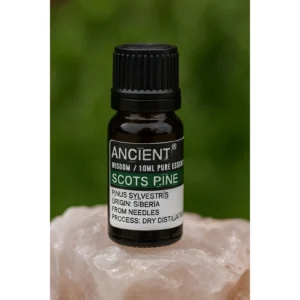 🌲 Scots Pine essential oil ~ The Forest Guardian of Strength & Renewal🌲