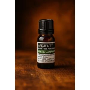 🤍White Camphor essential oil ~ The Cleansing Breath of Renewal🌿