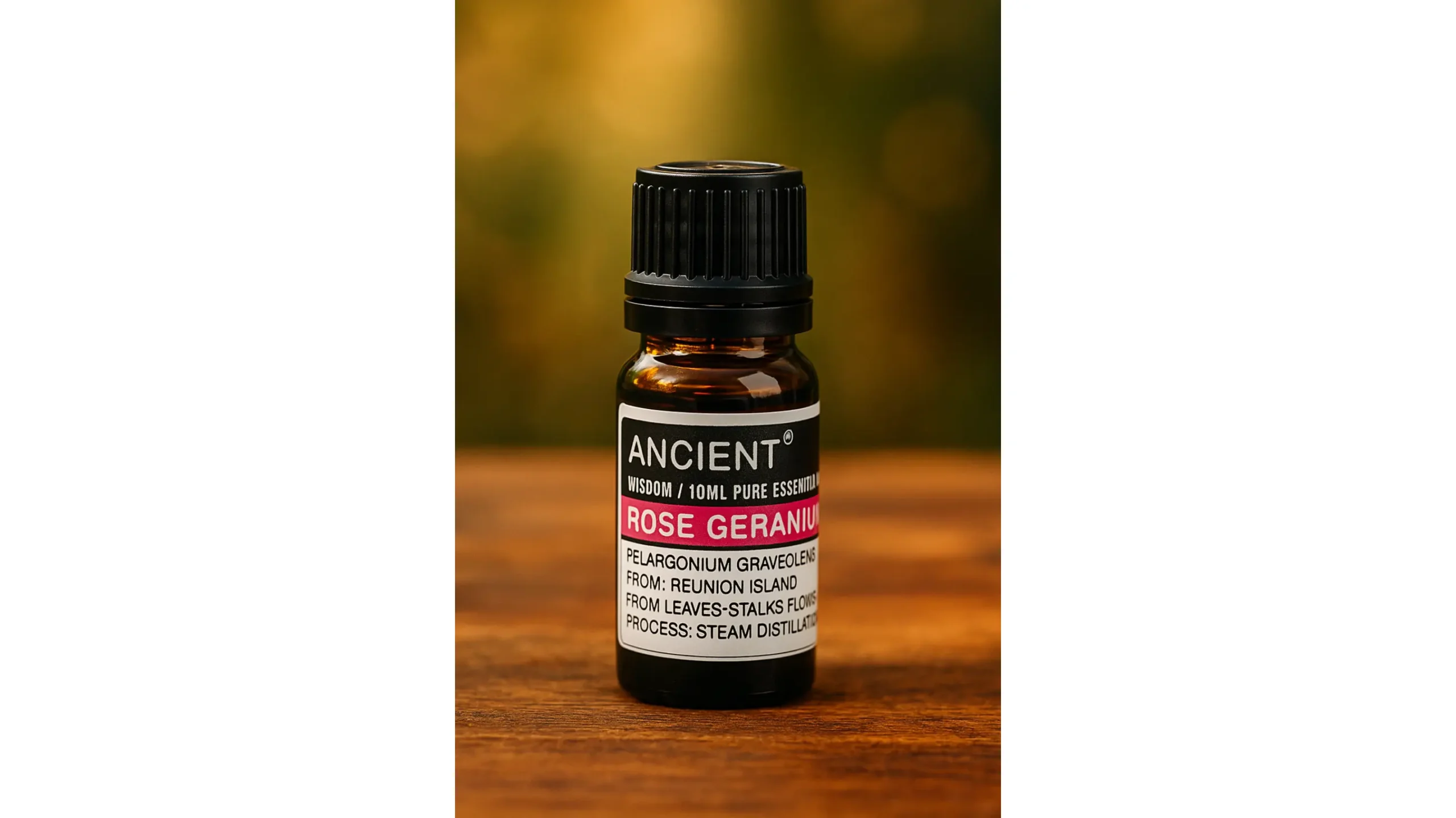 🌸Rose Geranium Essential Oil ~ The Nectar of Harmony & Sacred Feminine Rituals🌸