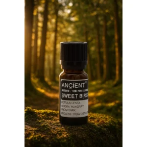 🌿Sweet Birch Essential Oil ~ The Elixir of Strength, Renewal & Ancient Woodland Magic🌿