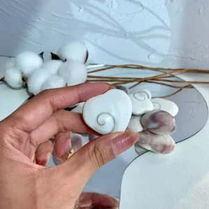 🐚EYE OF SHIVA ~ The Spiral of Ancient Guidance🌙✨