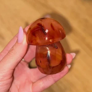 🍄🔥Carnelishroom RM ~ Scorched Mark🔥🍄