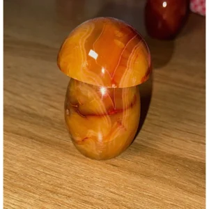 🍄🔥Carnelishroom ~ Ember Whispers🔥🍄