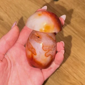 🍄Carnelishroom ~ Sweet Venom🍯🩸