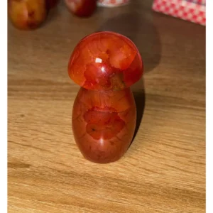 🍄🩸Carnelishroom ~ Infernal Root🩸🍄