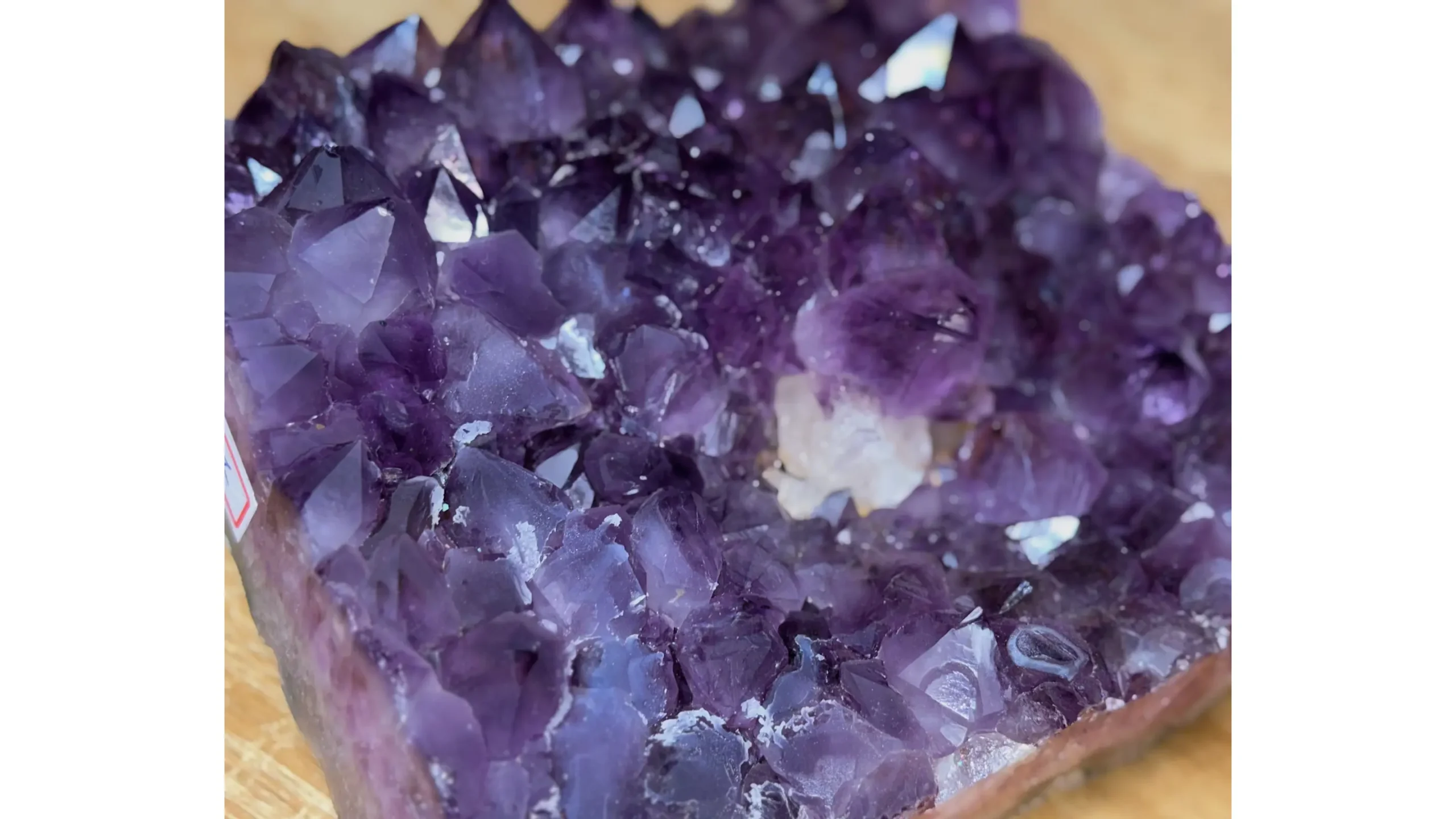 💜✨The Quiet Prism of the Old Earth✨💜 - Image 2