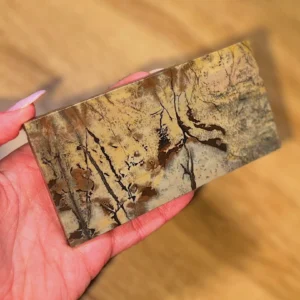 🍂The Stone That Remembers the Land ~ Picture Jasper Slab🍂