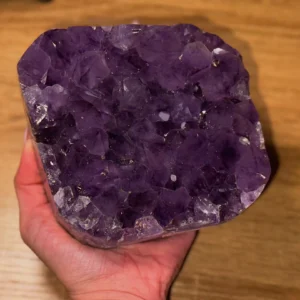 🖤 THE VIOLET STRONGHOLD 💜