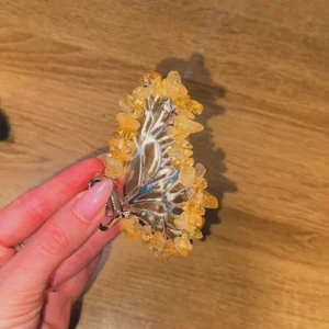 ✨🦋Golden Worth Butterfly Charm🦋✨