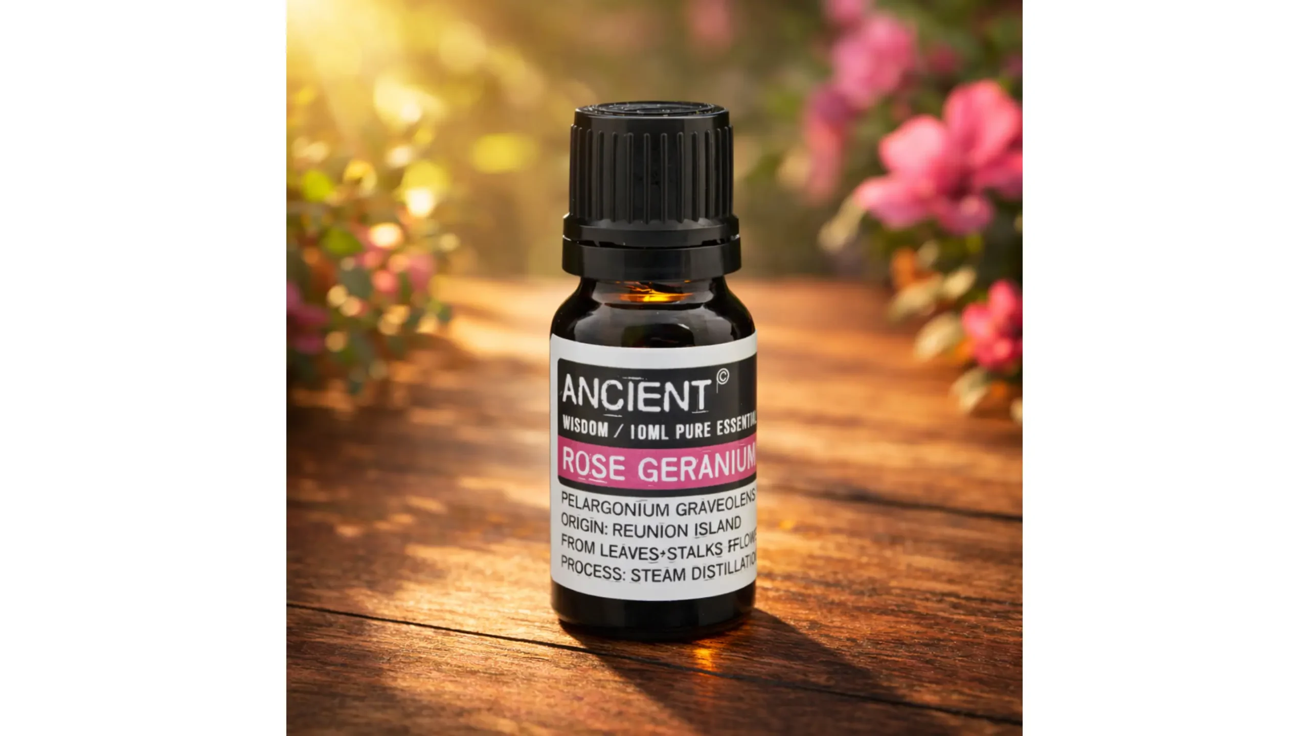 🌹Rose Geranium Essential Oil ~ Ancient Feminine Balance🌹