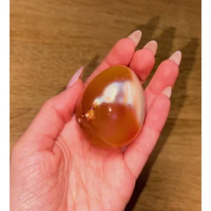 ✨🔥Wild Womb Witch ~ Carnelian Egg🔥✨