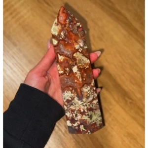 ✨🌸Flor of Fortune ~ Money Agate🌸✨