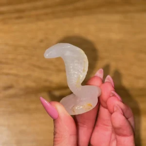 🐍☀️Uraeus · Golden Healer Cobra☀️🐍