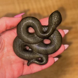 🖤🛡️The Gilded Serpent Guardian ~ Sheen Obsidian🛡️🖤