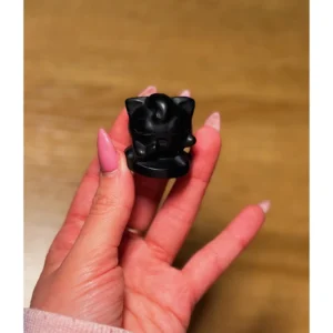 🖤🎶Obsidian Jigglypuff ~ Midnight Lullaby Guardian✨🖤