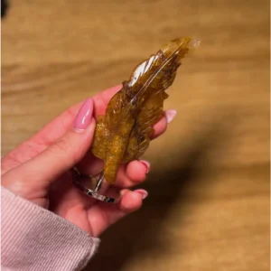 ✨🪶The Wizard’s Feather of Golden Light ~ Golden Healer🪶✨