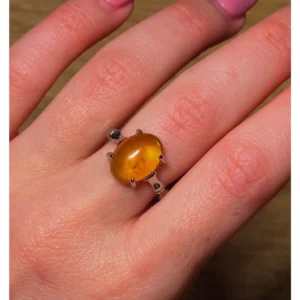 🧡Amber Branch ~ The Forest’s Golden Relic🧡🌿