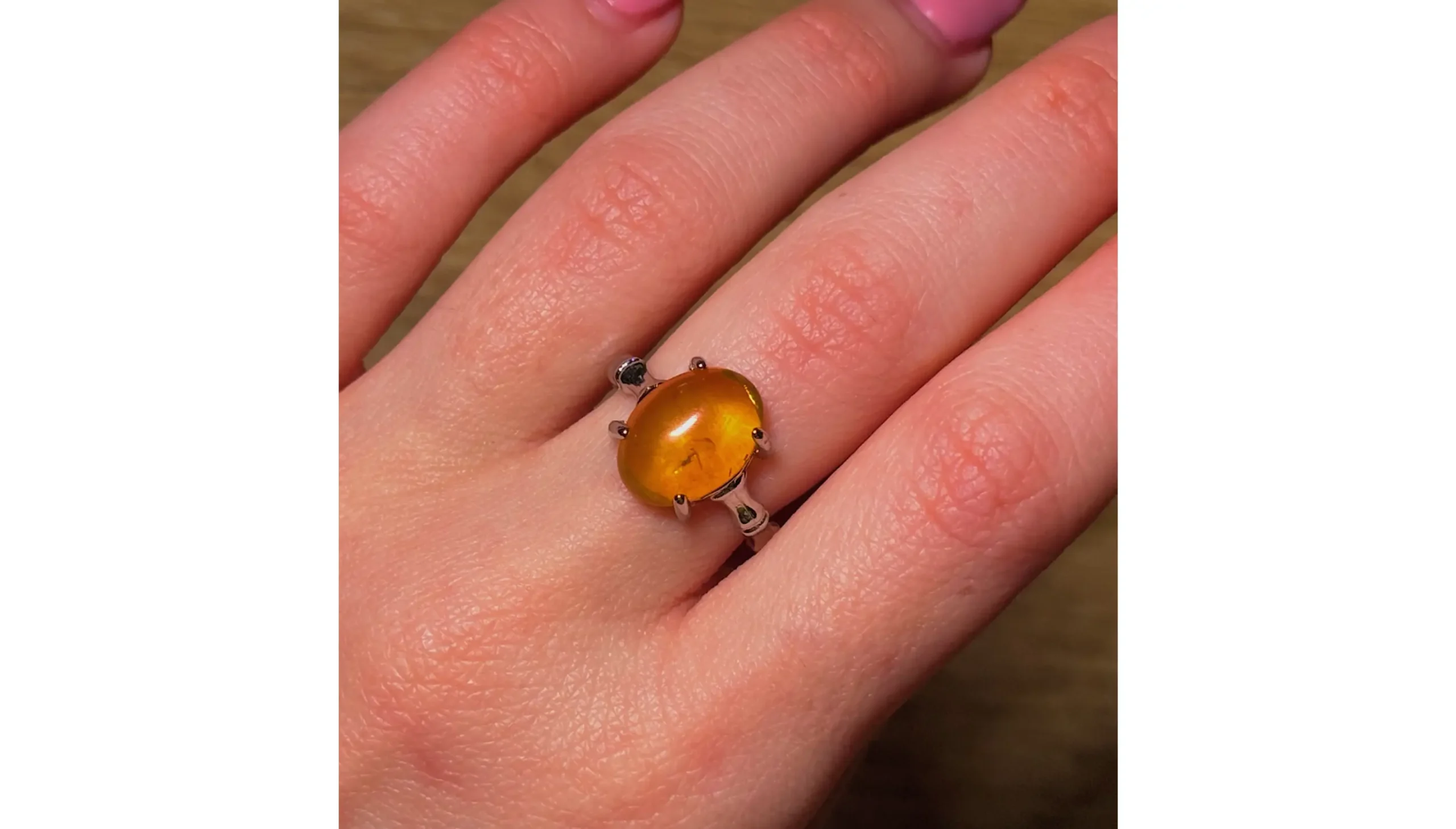 🧡Amber Branch ~ The Forest’s Golden Relic🧡🌿