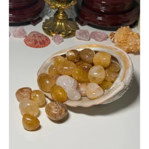 💛✨Golden Healer Drops✨💛