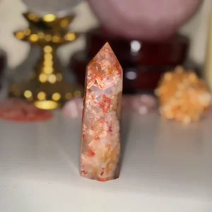 🔥🌺IGNIS BLOOM ~ Carnelian THE FIRE IN BLOSSOM🌺🔥