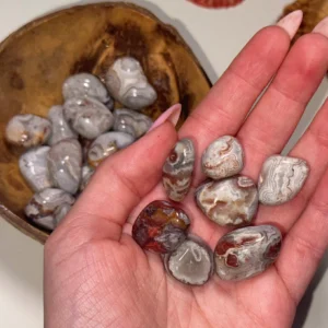 🌞✨MEXICAN CRAZY LACE AGATE✨🌞