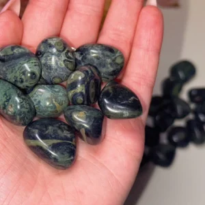 ✨🌿Kambaba Jasper ~ Earth Whisper Drops🌿✨