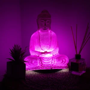 ✨💗🧘‍♀️Pink Aura Buddha Lamp🧘‍♀️💗✨