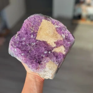 🧚‍♀️💜Seralune ~ The Violet Healers’ Sanctuary💜🧚‍♀️