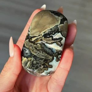 🌋🖤The Sealed Flame ~ Volcano Agate Palm Stone🖤🌋