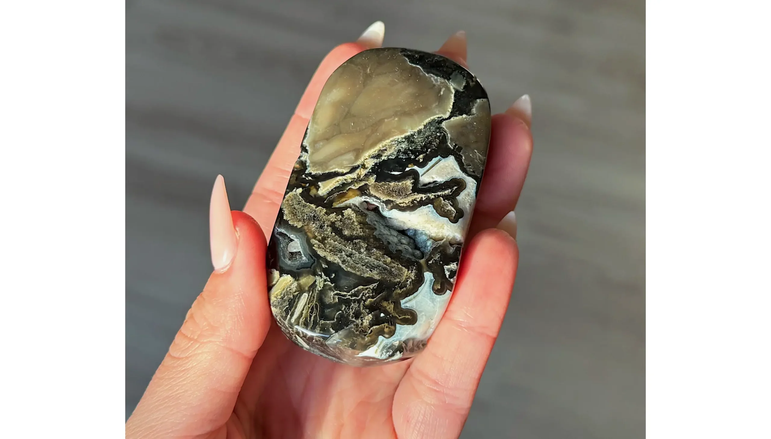 🌋🖤The Sealed Flame ~ Volcano Agate Palm Stone🖤🌋