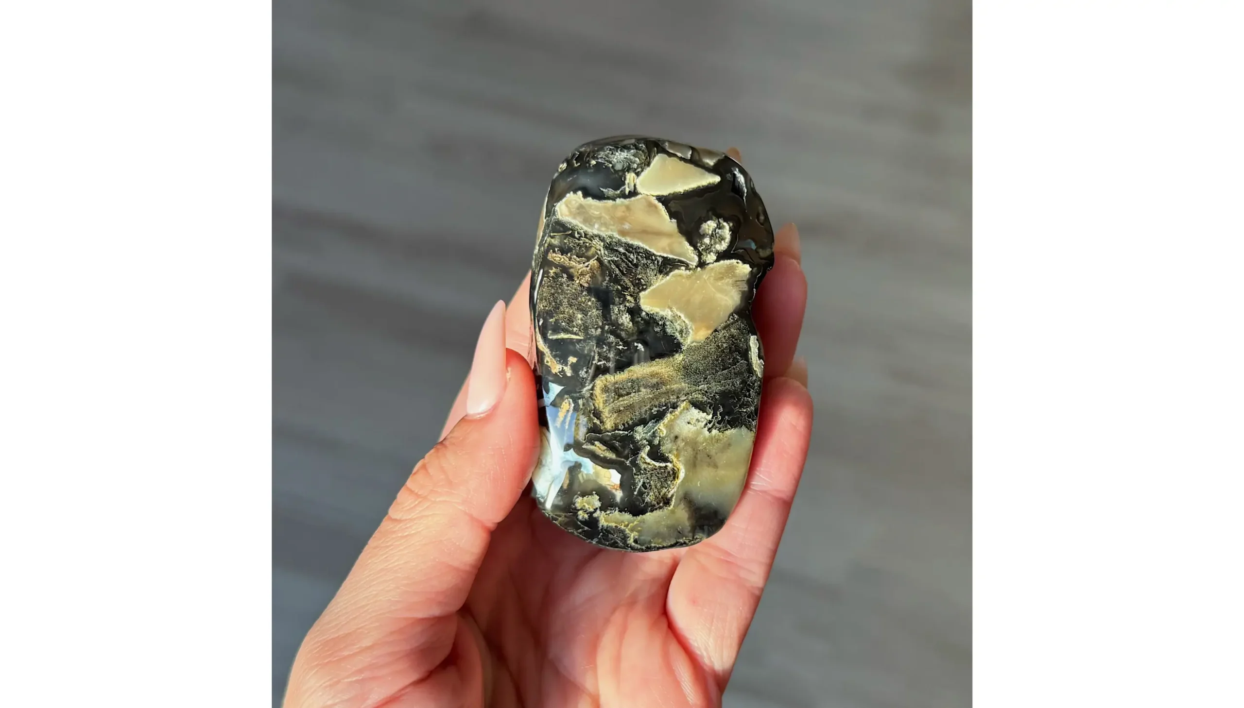 🌋🖤The Sealed Flame ~ Volcano Agate Palm Stone🖤🌋 - Image 3