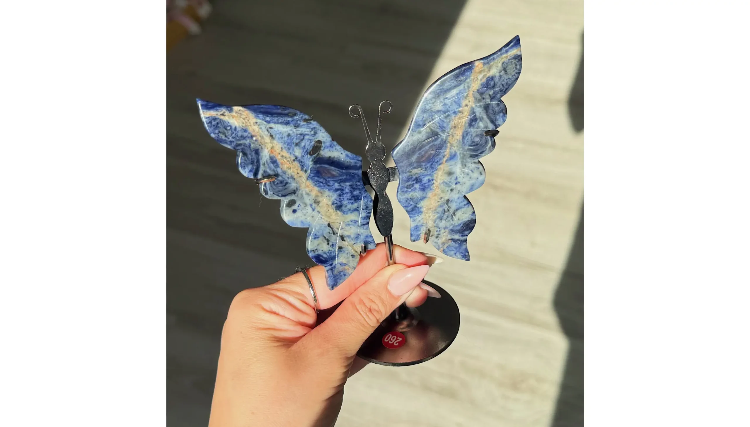 🔵🦋Veil of the Oracle🦋🔵