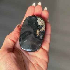 🌑💙The Drowned Oracle ~ Volcano Agate Palm Stone💙🌑