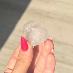 🌸Clear Quartz Bulbasaur ~ The Crystal Seed of Possibility✨