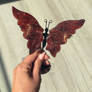 🦋The Phoenix of Valenara🔥🦋