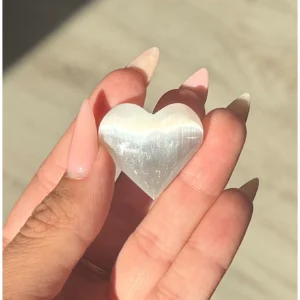 🤍 🧚🏻‍♀️The Sacred Heart of Selenthia🧚🏻‍♀️🤍