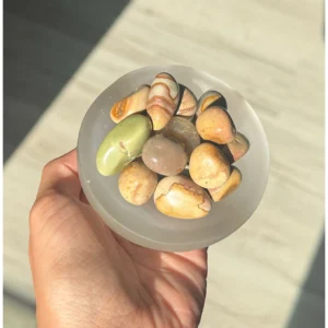🌈🤎Gaia's Living Canvas ~ Polychrome Jasper Drop🤎🌈