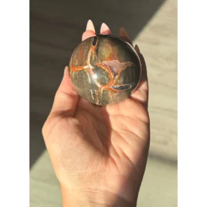 🗺️🐉The Map of the First Dragon ~ Football Agate🐉🗺️