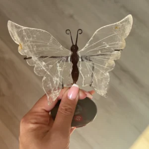 🦋🤍Aurora's Messenger ~ Clear Quartz Butterfly🤍🦋