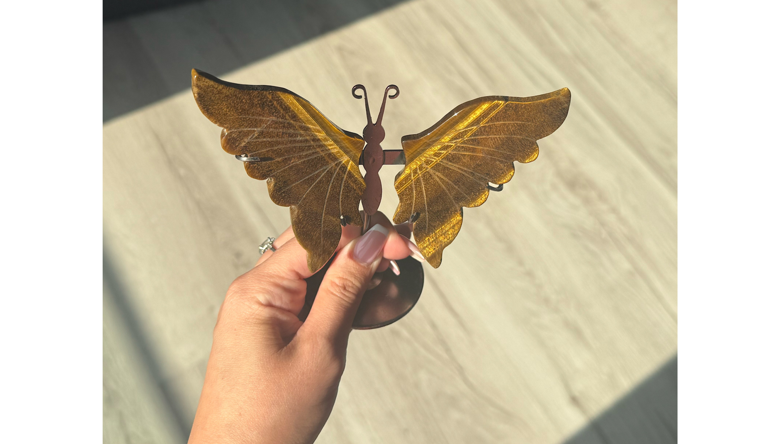 🦋☀️The Wings of Ra ~ Tiger Eye Butterfly☀️🦋