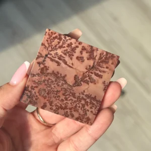 🌸The Last Blossom ~ Picture Jasper Slab🌸