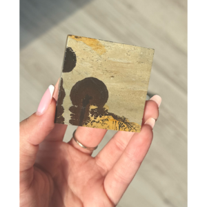🧚‍♀️🍄The Fairy Grove ~ Picture Jasper Slab🍄🧚‍♀️