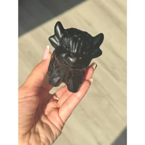 🐮🖤Black Obsidian Highland Cow🖤🐮