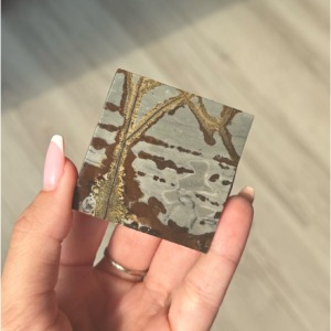 🛤️The Forgotten Crossing ~ Picture Jasper Slab🛤️