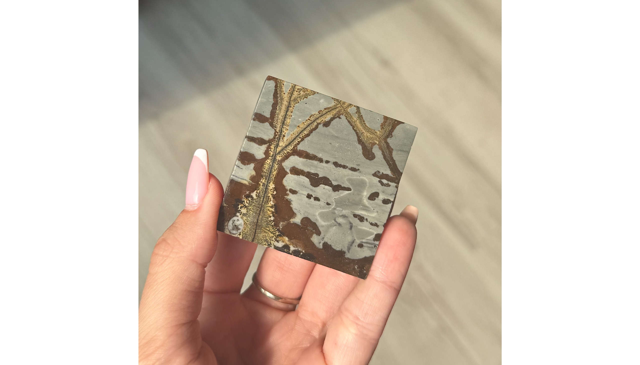 🛤️The Forgotten Crossing ~ Picture Jasper Slab🛤️