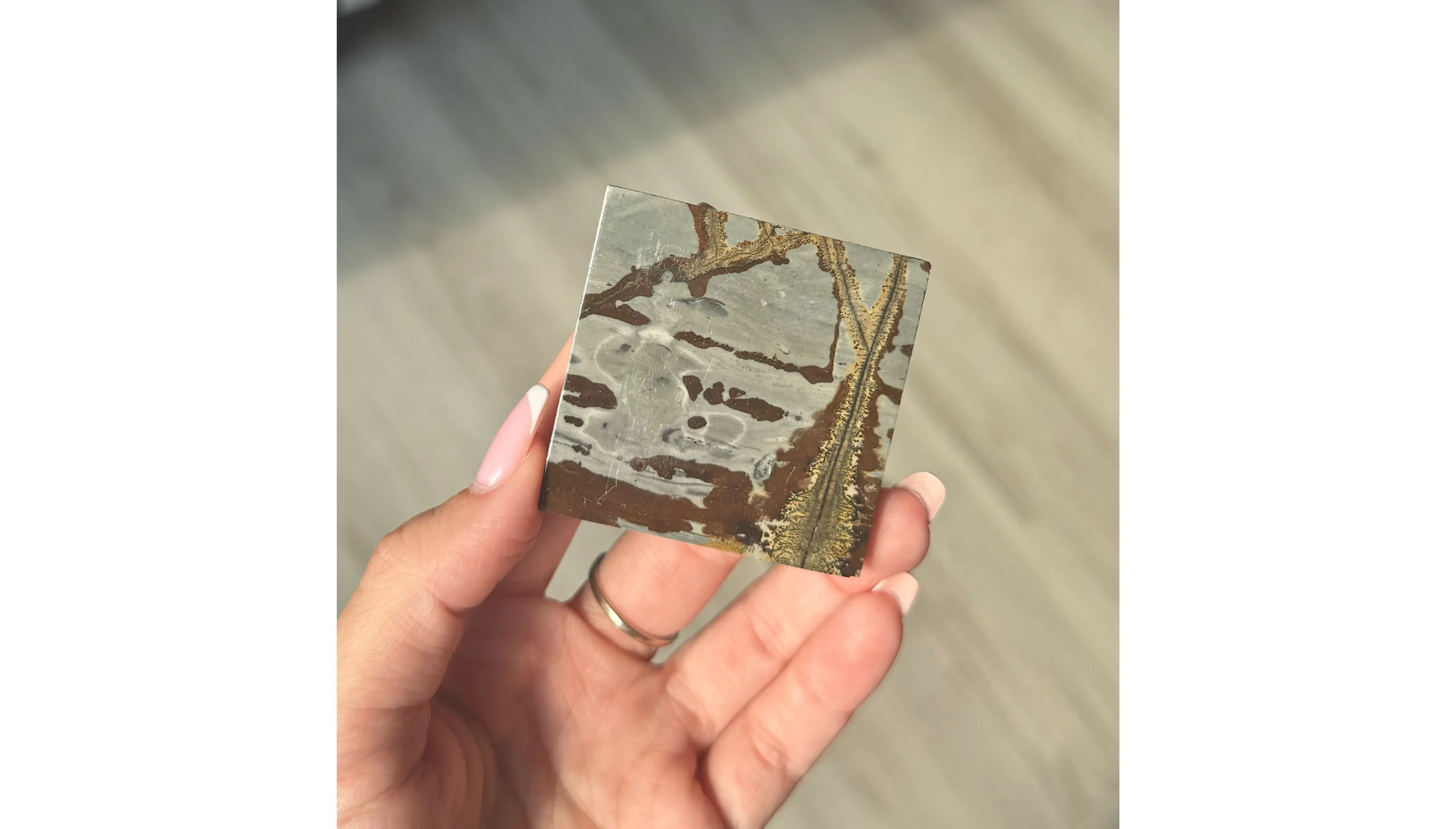 🛤️The Forgotten Crossing ~ Picture Jasper Slab🛤️ - Image 2