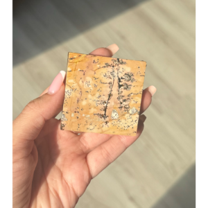 🌾Where the Earth Reached for the Sky ~ Picture Jasper Slab🌾