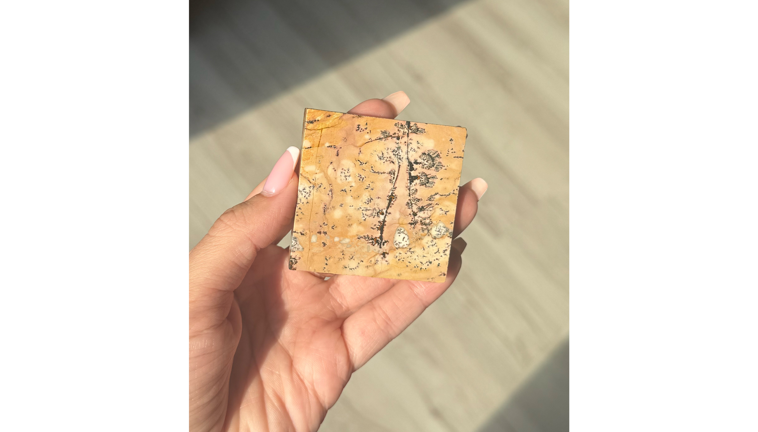 🌾Where the Earth Reached for the Sky ~ Picture Jasper Slab🌾