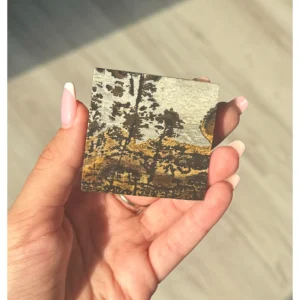 ✨🌲The Whispering Forest ~ Picture Jasper Slab🌲✨